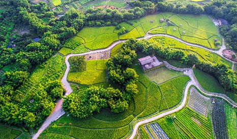 從化農(nóng)耕田緣休閑農(nóng)業(yè)、旅游信息化建設(shè)項(xiàng)目