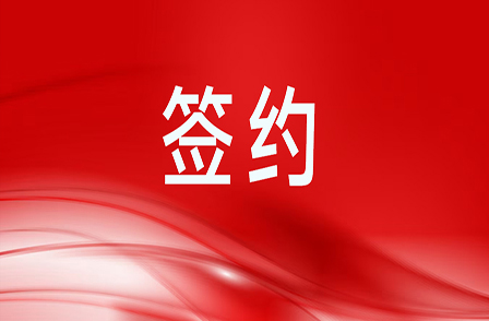 5.63億元智算項(xiàng)目服務(wù)合同！助力客戶(hù)構(gòu)建高效智算集群